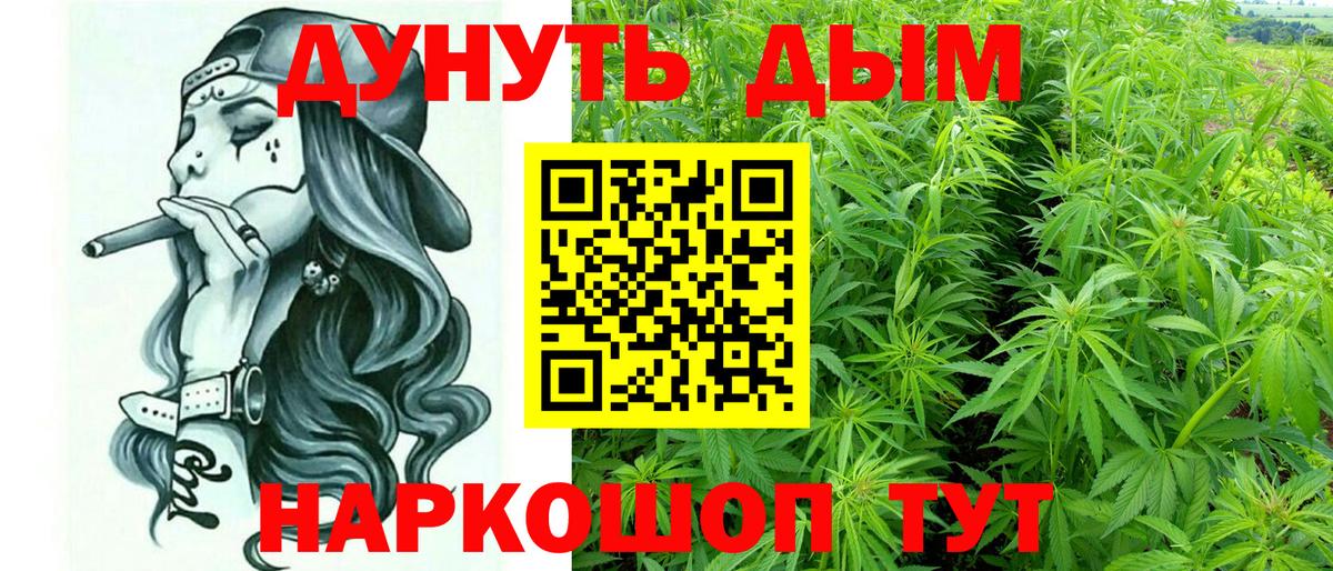 Бошки Шишки планчик Шарыпово